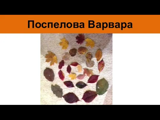 Поспелова Варвара