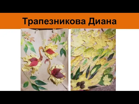 Трапезникова Диана