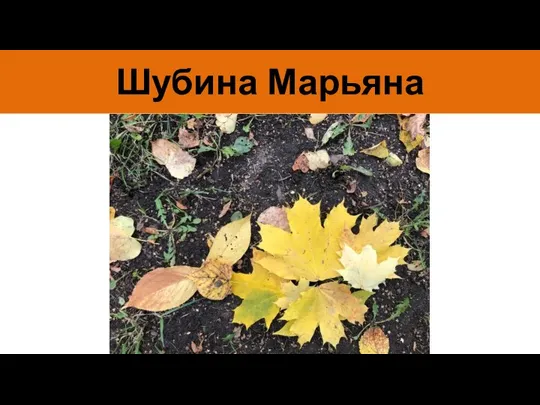 Шубина Марьяна