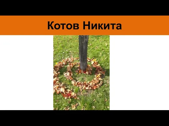 Котов Никита