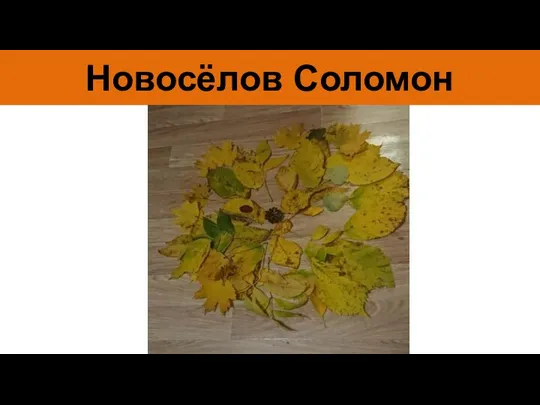 Новосёлов Соломон