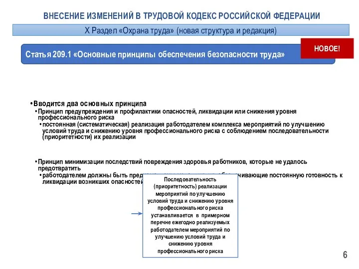 ВНЕСЕНИЕ ИЗМЕНЕНИЙ В ТРУДОВОЙ КОДЕКС РОССИЙСКОЙ ФЕДЕРАЦИИ Статья 209.1 «Основные принципы