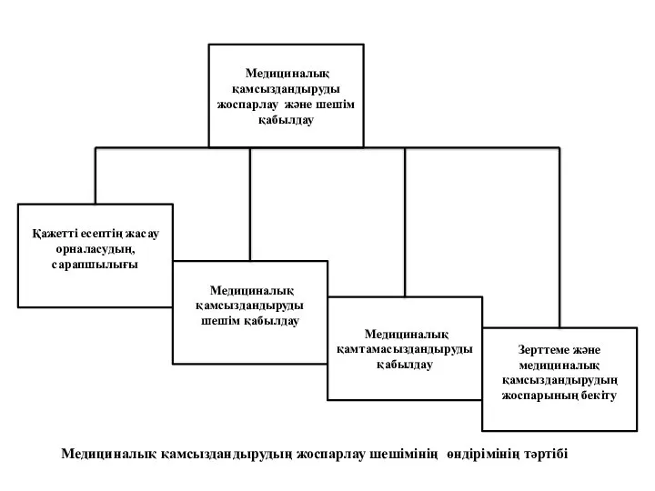 Медициналық қамсыздандыруды жоспарлау және шешім қабылдау Медициналық қамсыздандыруды шешім қабылдау Медициналық