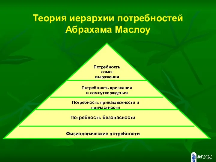 Теория иерархии потребностей Абрахама Маслоу