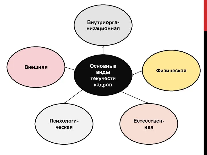 Основные виды текучести кадров Внешняя Психологи-ческая Физическая Внутриорга-низационная Естесствен-ная