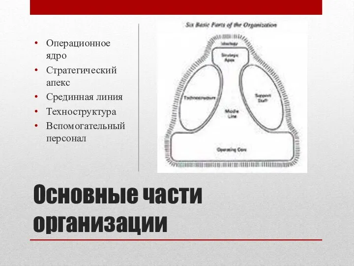 Основные части организации Операционное ядро Стратегический апекс Срединная линия Техноструктура Вспомогательный персонал