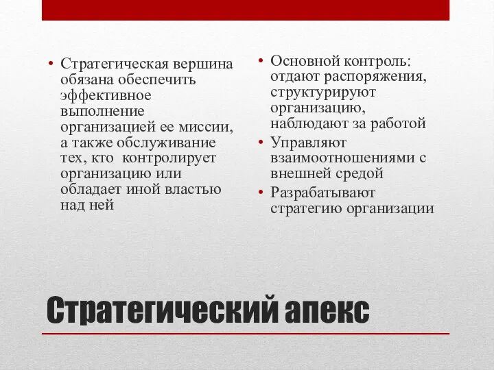 Стратегический апекс Стратегическая вершина обязана обеспечить эффективное выполнение организацией ее миссии,