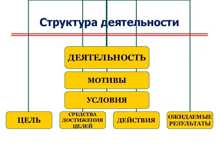 Структура деятельности