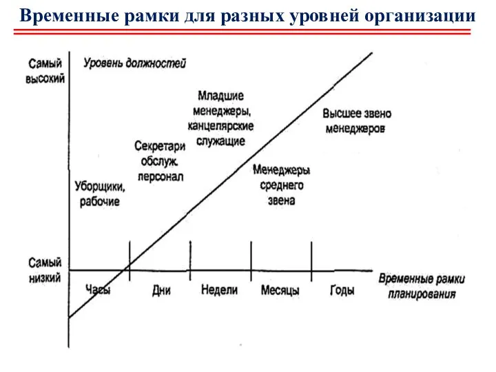 Временные рамки для разных уровней организации