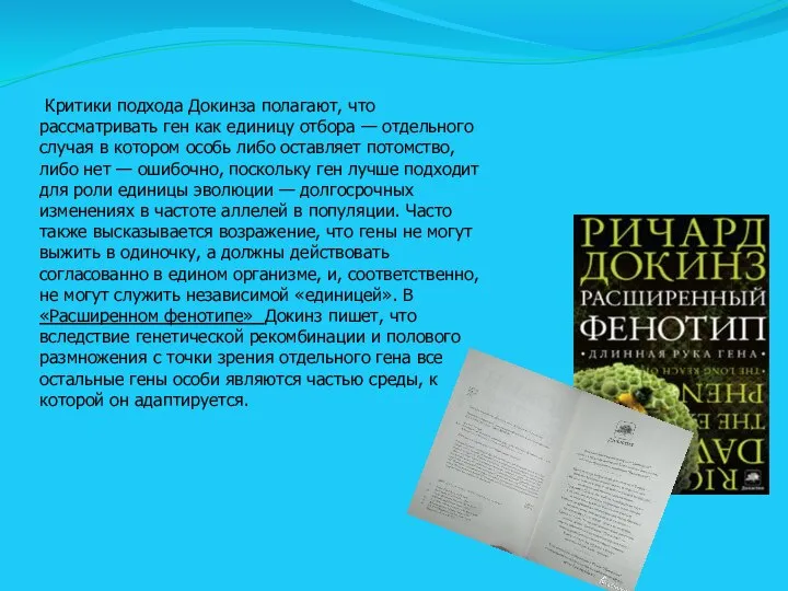 Критики подхода Докинза полагают, что рассматривать ген как единицу отбора —