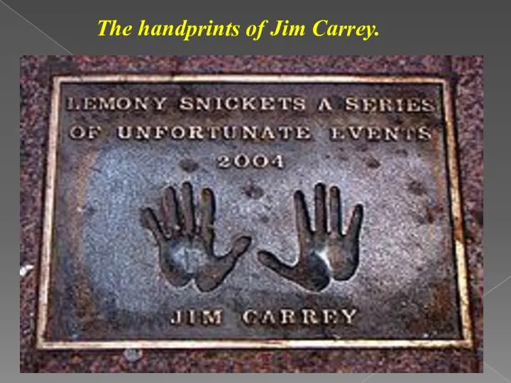 The handprints of Jim Carrey.