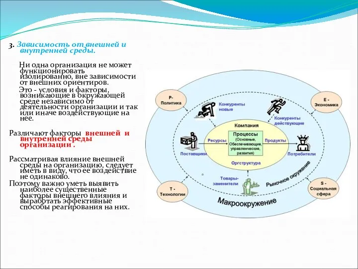 3. Зависимость от внешней и внутренней среды. Ни одна организация не