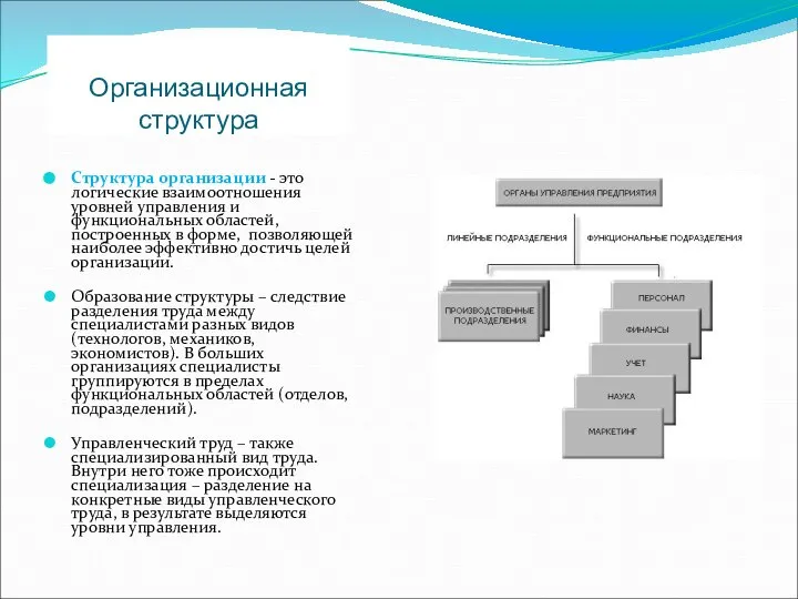 Организационная структура Структура организации - это логические взаимоотношения уровней управления и