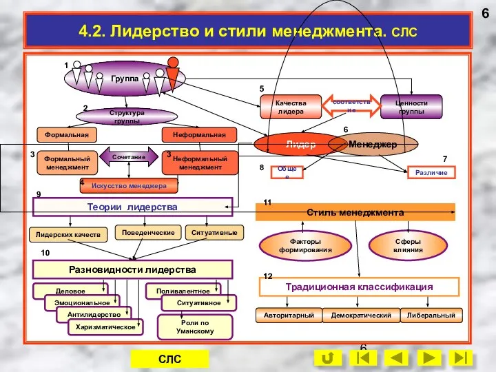 4.2. Лидерство и стили менеджмента. СЛС