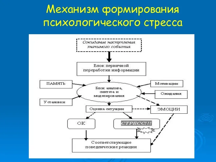 Механизм формирования психологического стресса