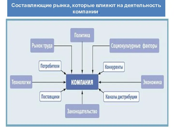 Составляющие рынка, которые влияют на деятельность компании.