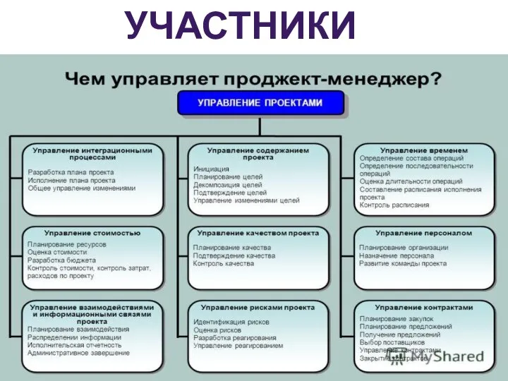 УЧАСТНИКИ ПРОЕКТА