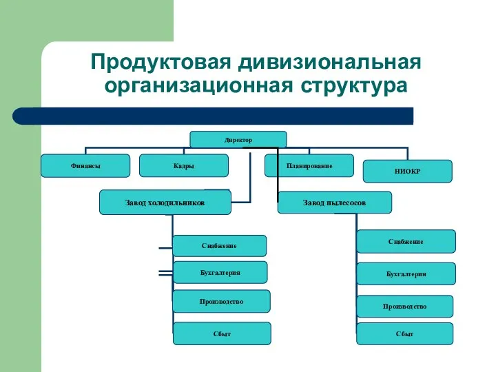 Продуктовая дивизиональная организационная структура Директор Финансы Кадры Планирование НИОКР Завод холодильников