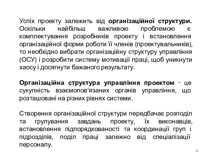 Успіх проекту залежить від організаційної структури. Оскільки найбільш важливою проблемою є