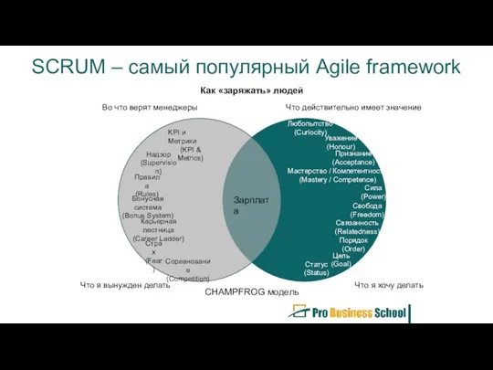 SCRUM – самый популярный Agile framework Как «заряжать» людей CHAMPFROG модель