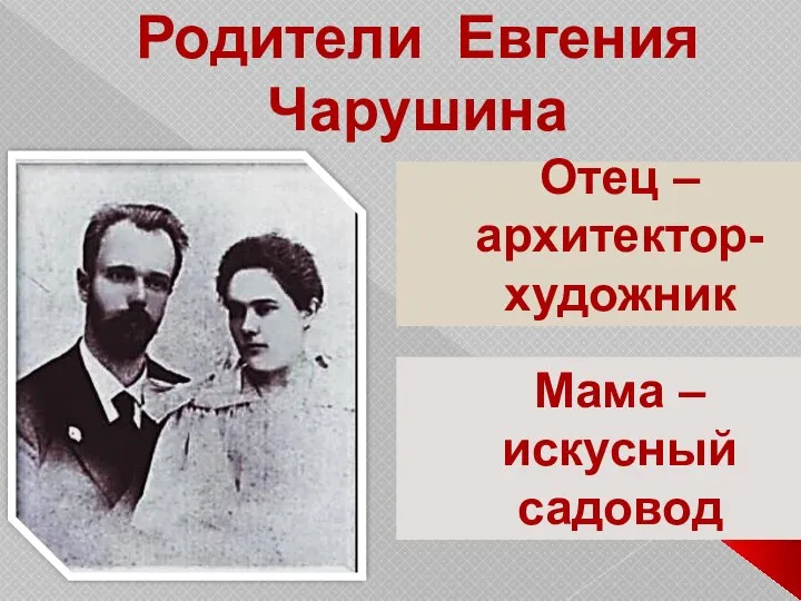 Родители Евгения Чарушина Отец – архитектор-художник Мама – искусный садовод