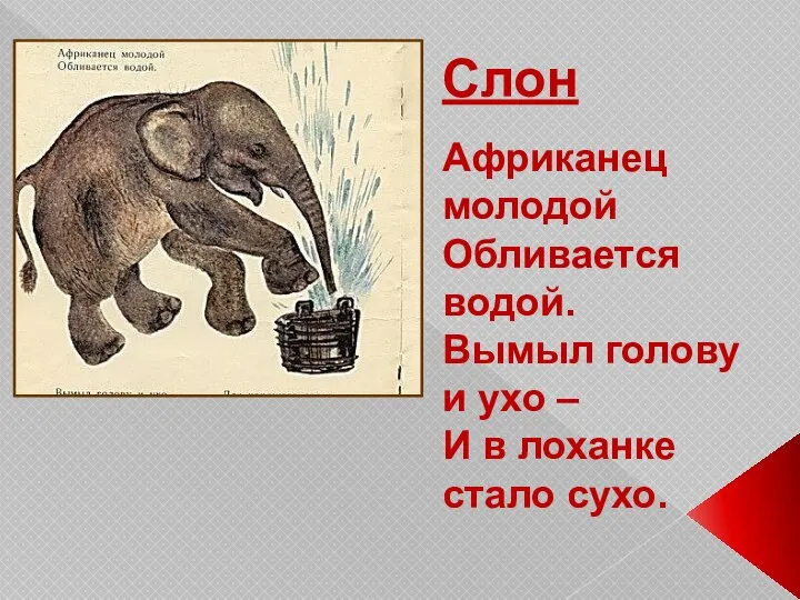 Слон Африканец молодой Обливается водой. Вымыл голову и ухо – И в лоханке стало сухо.