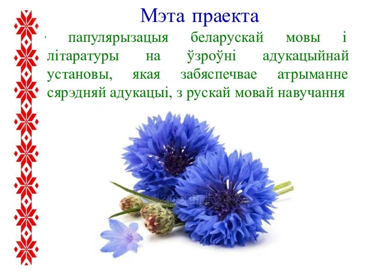 Мэта праекта папулярызацыя беларускай мовы і літаратуры на ўзроўні адукацыйнай установы,