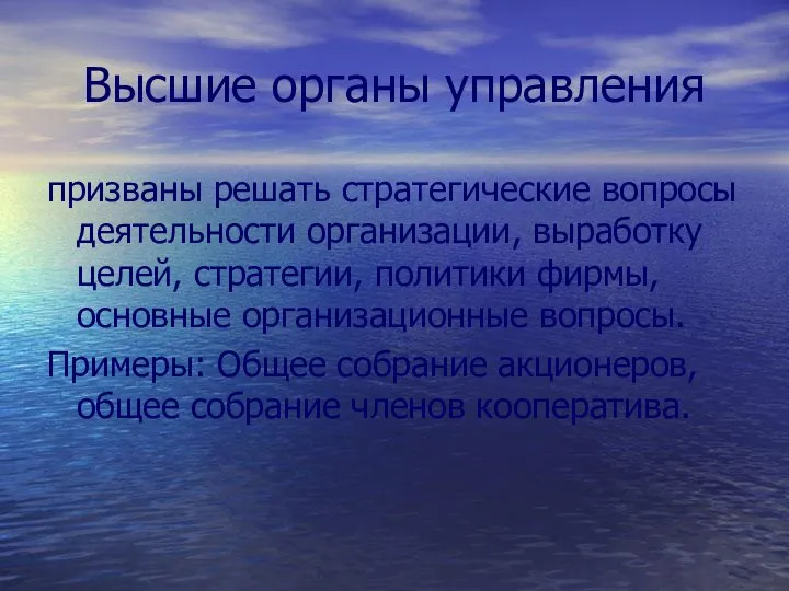 Высшие органы управления призваны решать стратегические вопросы деятельности организации, выработку целей,