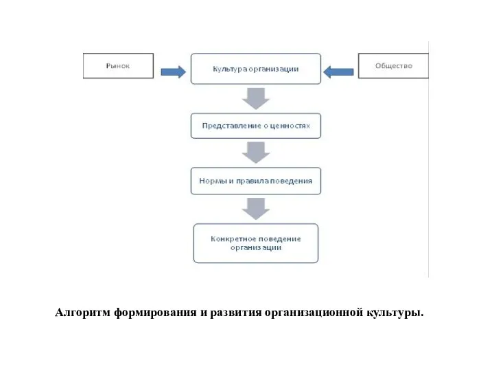 Алгоритм формирования и развития организационной культуры.