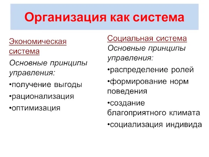 Организация как система