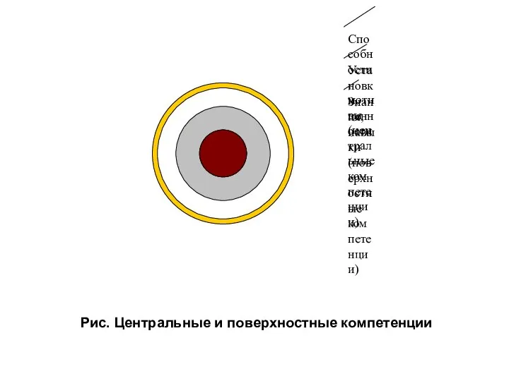 Рис. Центральные и поверхностные компетенции