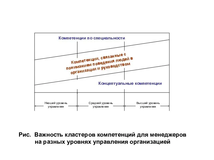 Рис. Важность кластеров компетенций для менеджеров на разных уровнях управления организацией