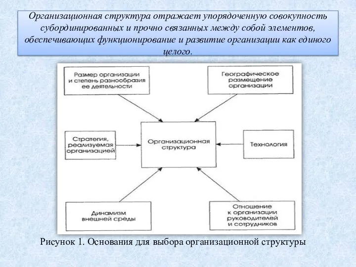 Организационная структура отражает упорядоченную совокупность субординированных и прочно связанных между собой