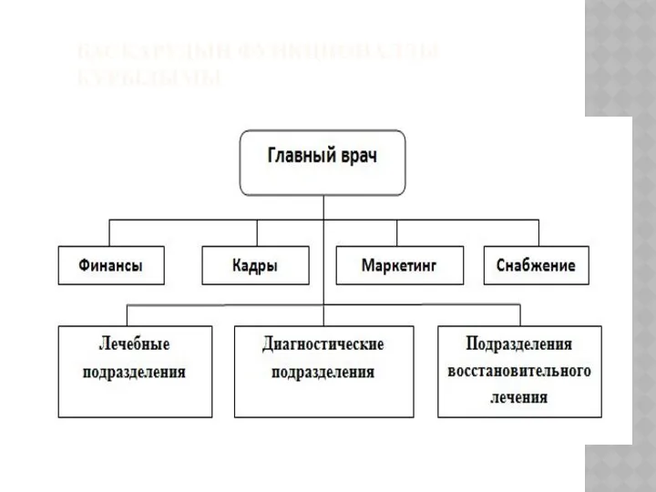 БАСҚАРУДЫҢ ФУНКЦИОНАЛДЫ ҚҰРЫЛЫМЫ