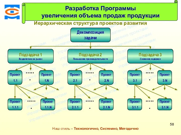 Консалтинговая компания ТСМ Наш стиль – Технологично, Системно, Методично Иерархическая структура