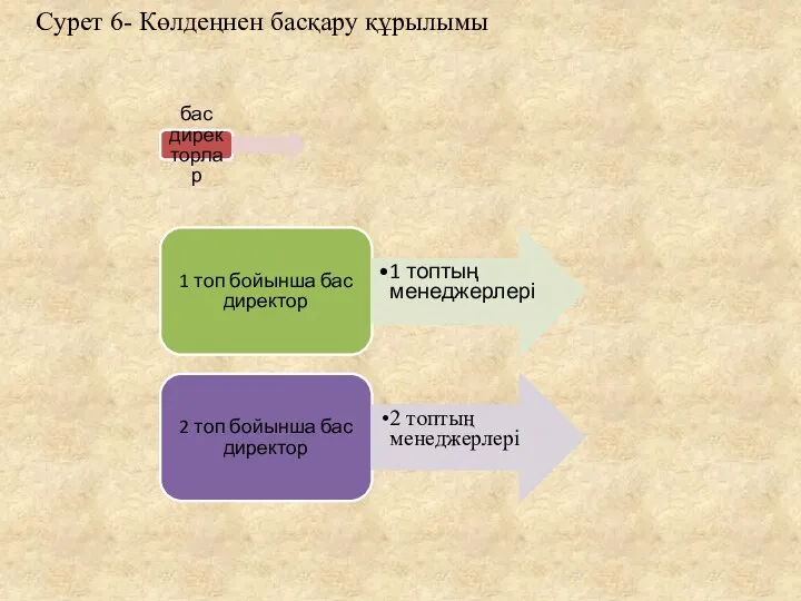 Сурет 6- Көлдеңнен басқару құрылымы бас директорлар 1 топ бойынша бас