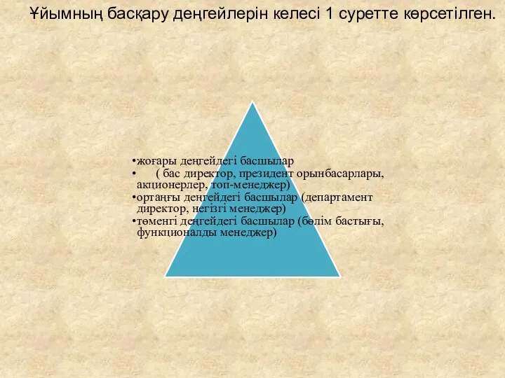 Ұйымның басқару деңгейлерін келесі 1 суретте көрсетілген. жоғары деңгейдегі басшылар (