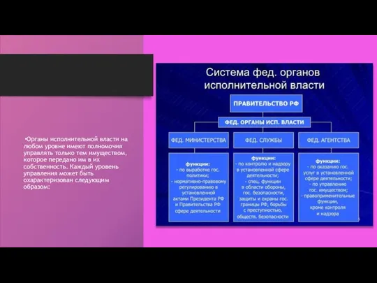 Органы исполнительной власти на любом уровне имеют полномочия управлять только тем