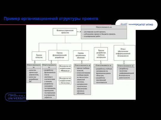 Пример организационной структуры проекта