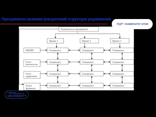 Программно-целевая (матричная) структура управления