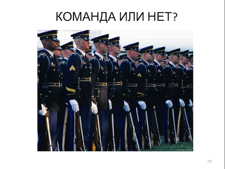 КОМАНДА ИЛИ НЕТ?