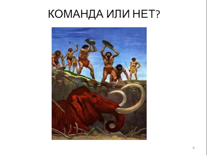 КОМАНДА ИЛИ НЕТ?