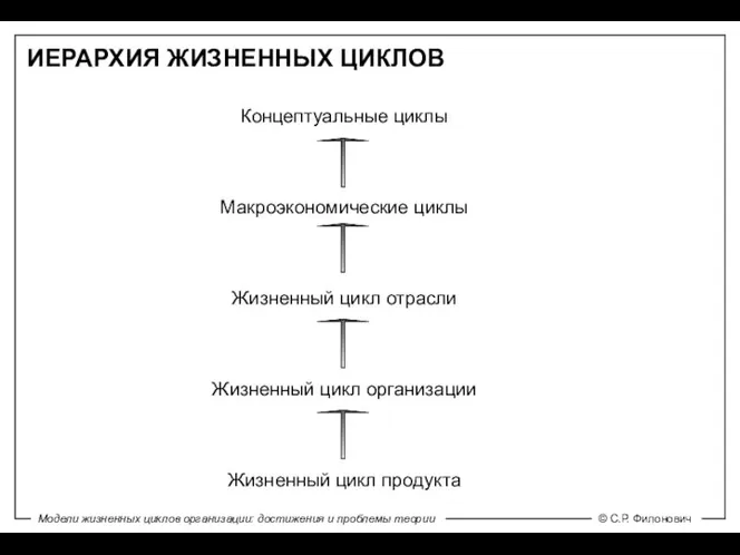 ИЕРАРХИЯ ЖИЗНЕННЫХ ЦИКЛОВ