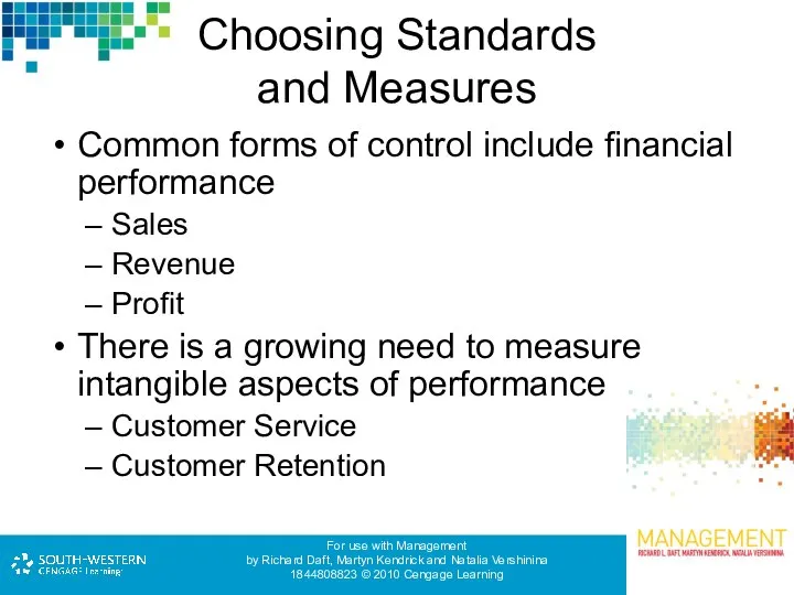 Choosing Standards and Measures Common forms of control include financial performance