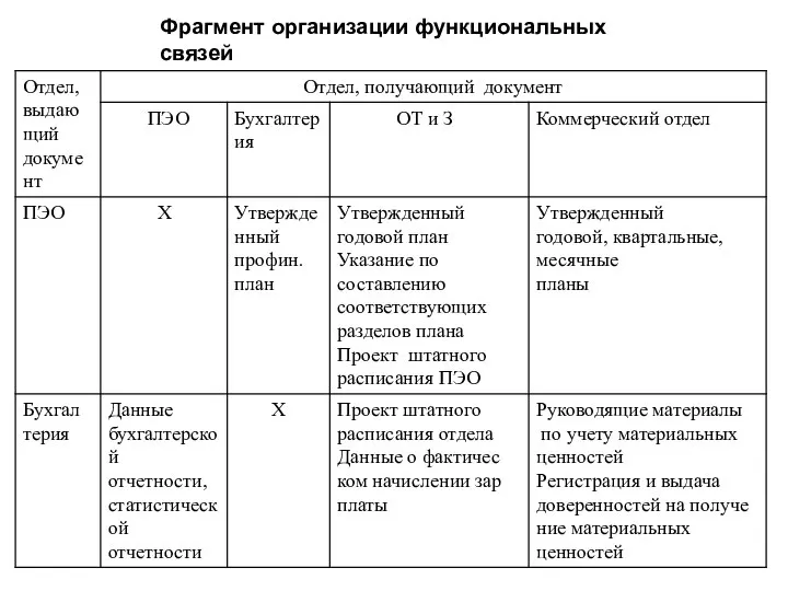 Фрагмент организации функциональных связей