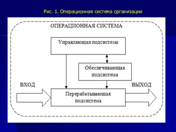 Рис. 1. Операционная система организации