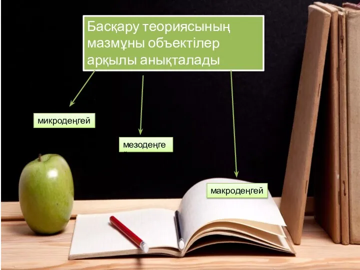 Басқару теориясының мазмұны объектілер арқылы анықталады микродеңгей мезодеңгей макродеңгей