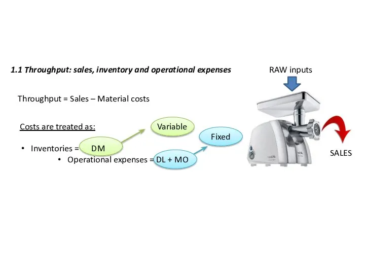 1.1 Throughput: sales, inventory and operational expenses RAW inputs SALES Throughput