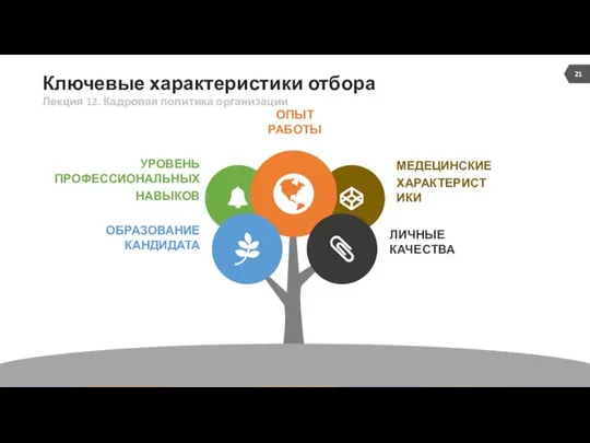 Ключевые характеристики отбора МЕДЕЦИНСКИЕ ХАРАКТЕРИСТИКИ УРОВЕНЬ ПРОФЕССИОНАЛЬНЫХ НАВЫКОВ ЛИЧНЫЕ КАЧЕСТВА ОБРАЗОВАНИЕ