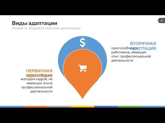 Виды адаптации Лекция 12. Кадровая политика организации